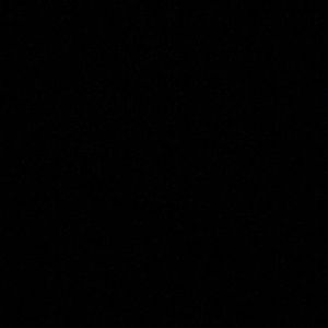 Meet your Posher, Misty